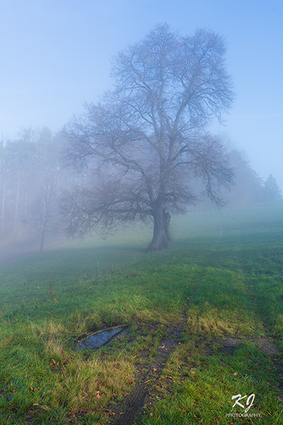 The fog whispers secrets only the early risers can hear...