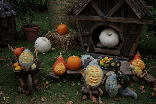 Pumpkin art.