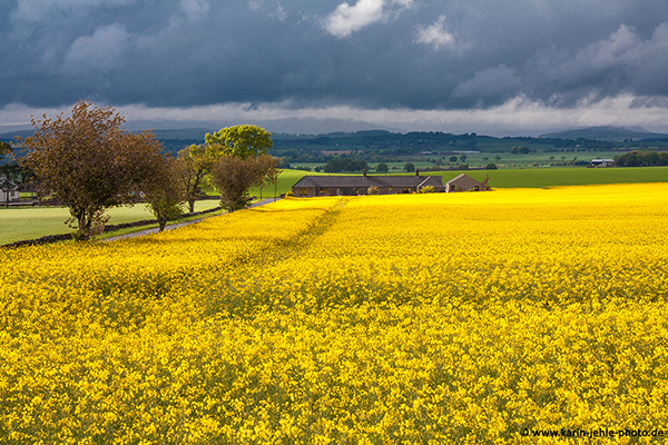 Scotland