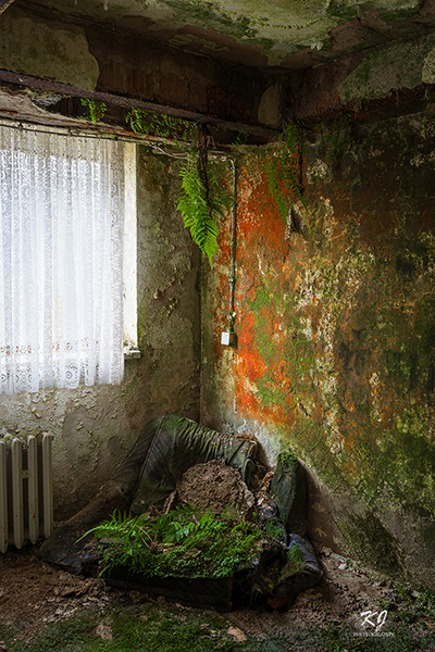 Beauty of decay.