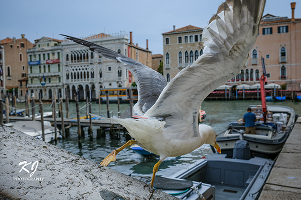 Canal Grande in Venice.