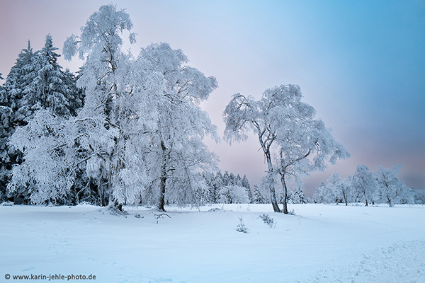 Winter Magic