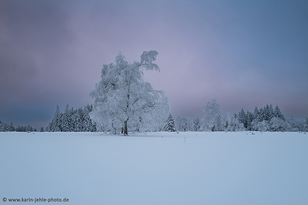 Silence