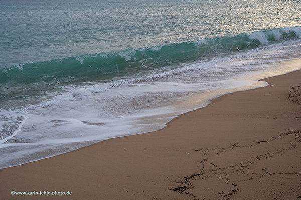 Wave