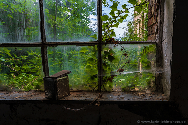 A view through my window